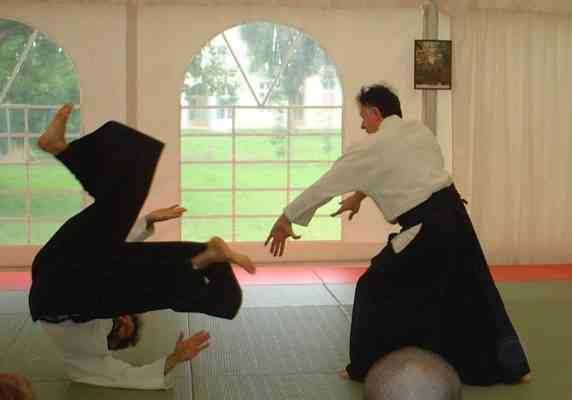 Aikido fighting