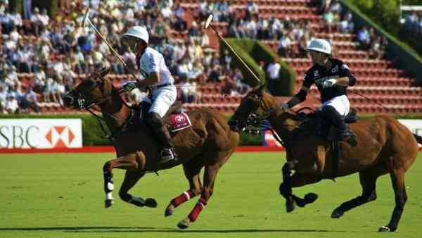 Polo match