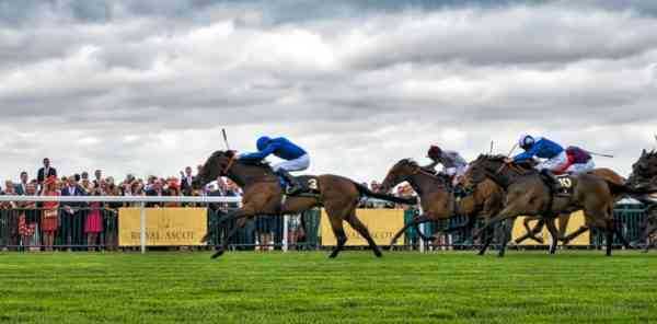 Royal Ascot events