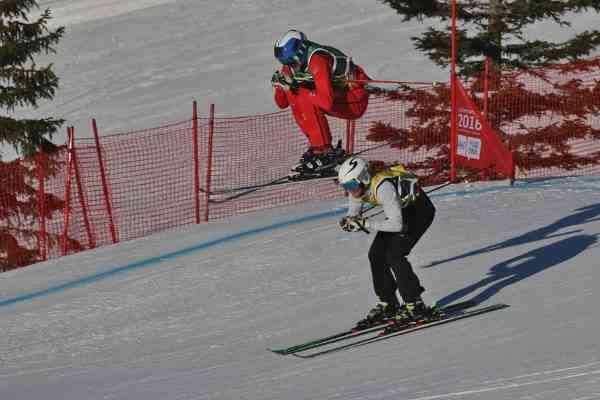 Ski cross