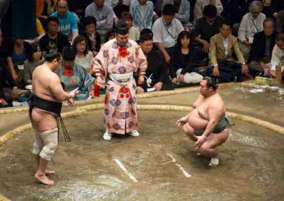 Sumo wrestling