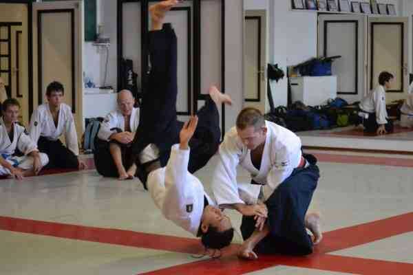 Aikido fighting area