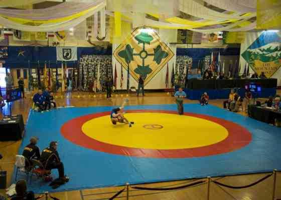 Freestyle wrestling mat