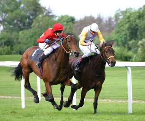 Horse racing winners