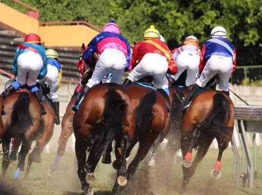 Multinational horse racing