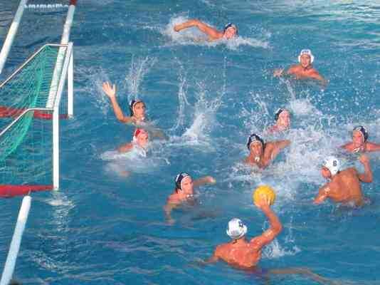 Water polo players