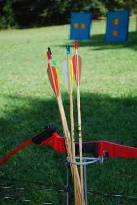 Bow and arrows