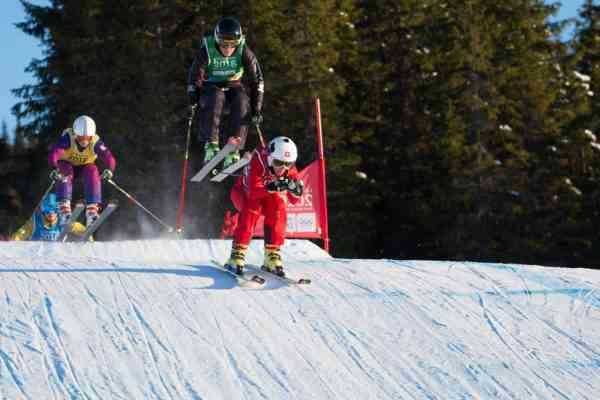 Ski cross equipment