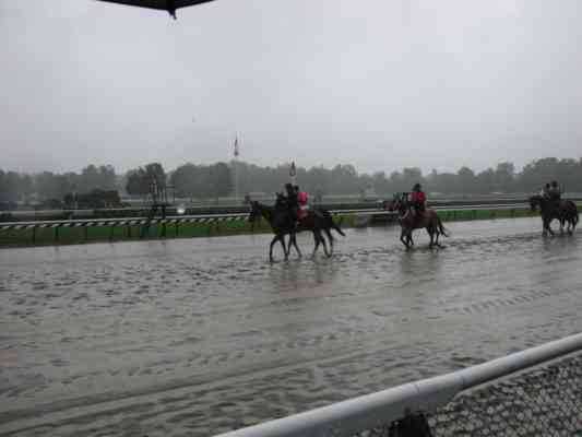 Horse racing under rain