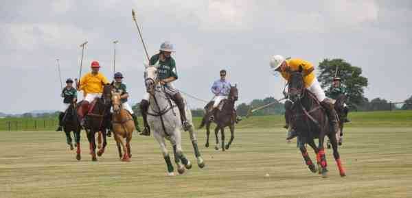 Polo referee