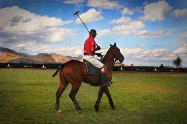 History of polo