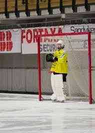 Bandy goalkeeper